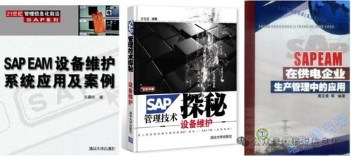 從擁有專業(yè)書的情況看國內(nèi)外erp軟件廠商的生態(tài)差異