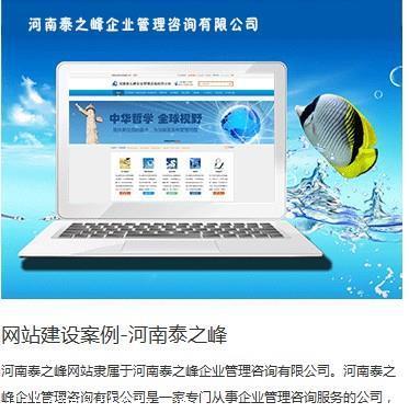 【焦作網站開發(fā)實力排行榜/網站開發(fā)實力哪家強/高端網站建設公司】價格,廠家,網站建設-搜了網