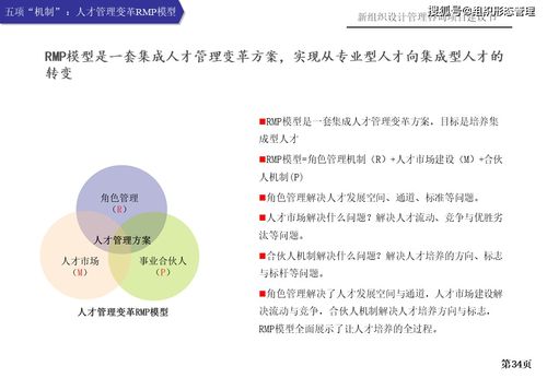 新組織設(shè)計管理咨詢項(xiàng)目建議書
