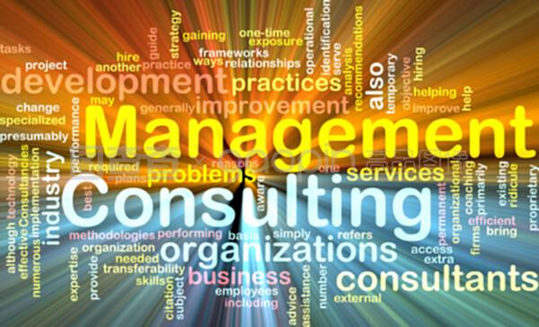 管理咨詢 企業發展的智慧引擎
